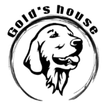 png gold